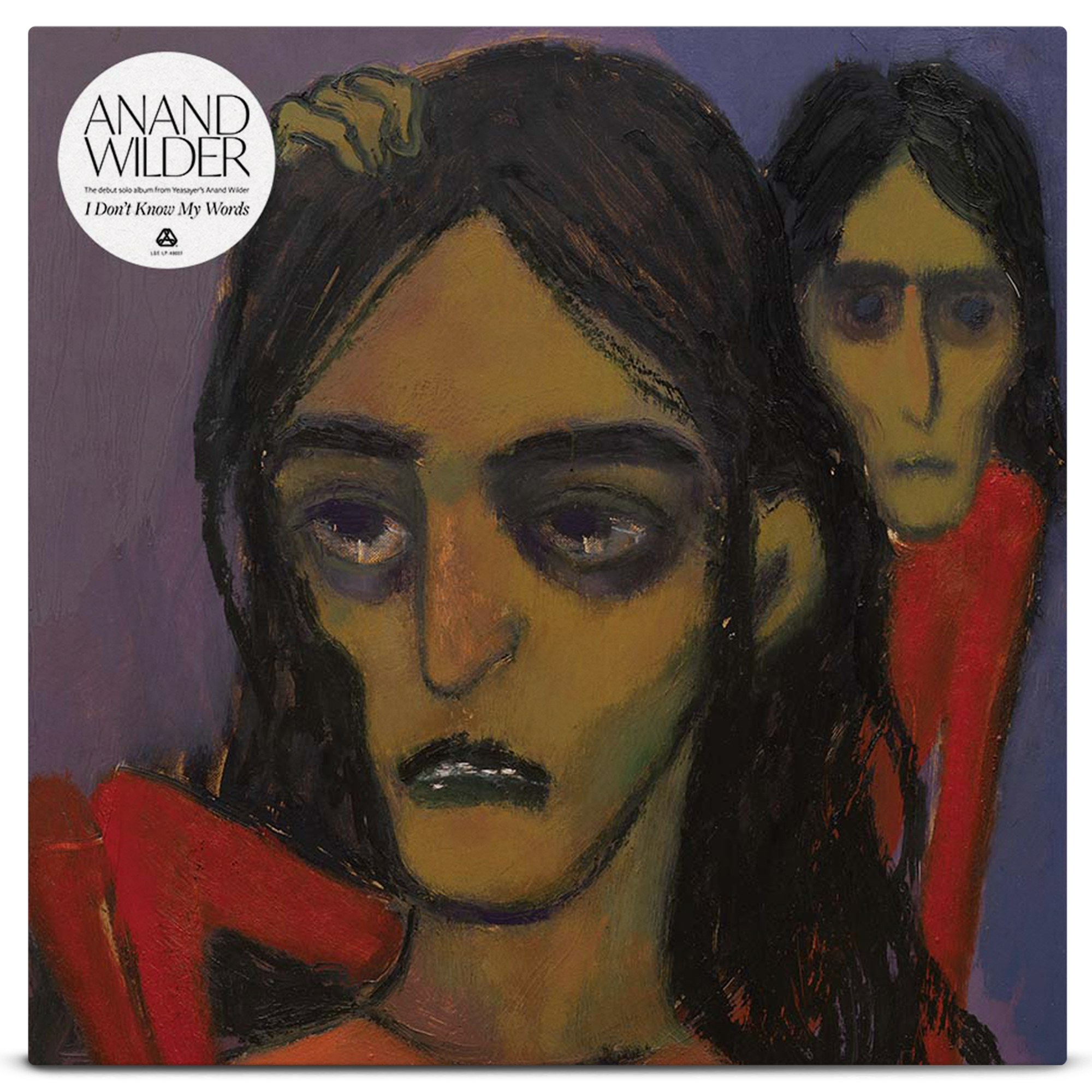 Anand Wilder - I Don't Know My Words