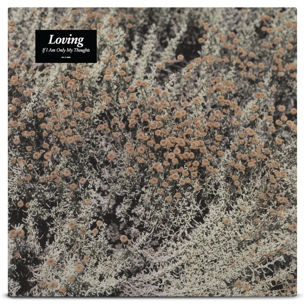 Loving - If I Am Only My Thoughts