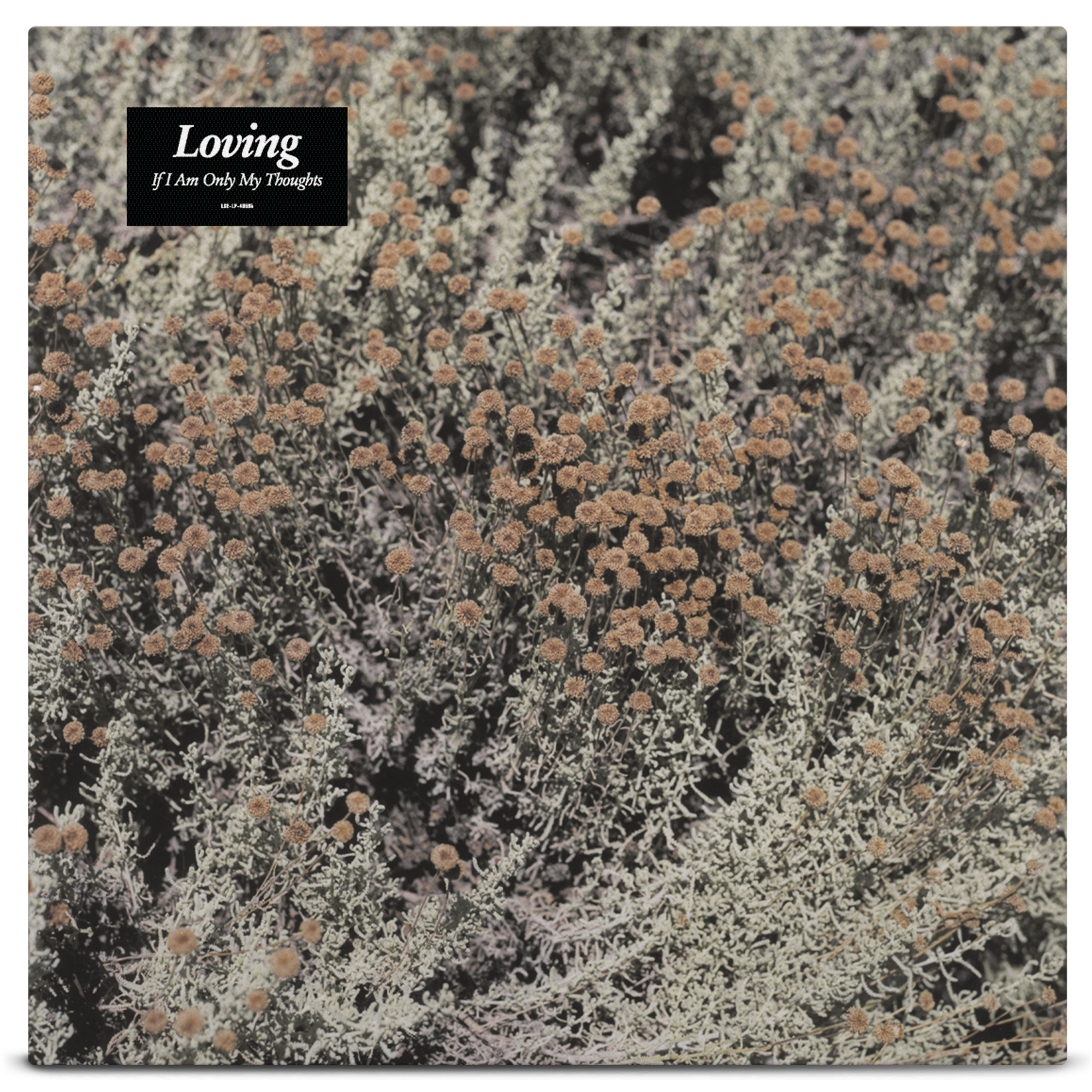 Loving - If I Am Only My Thoughts
