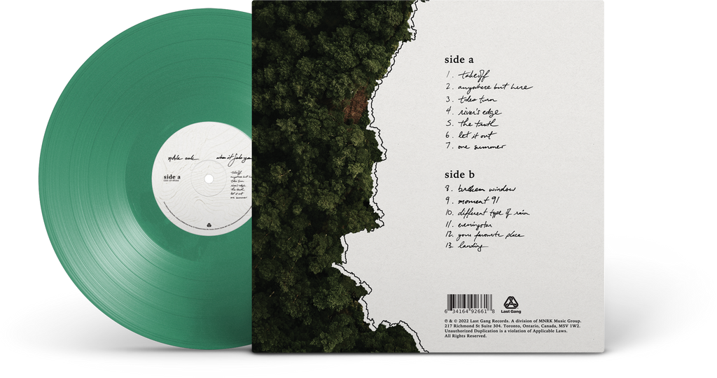 Noble Oak - When It Finds You
