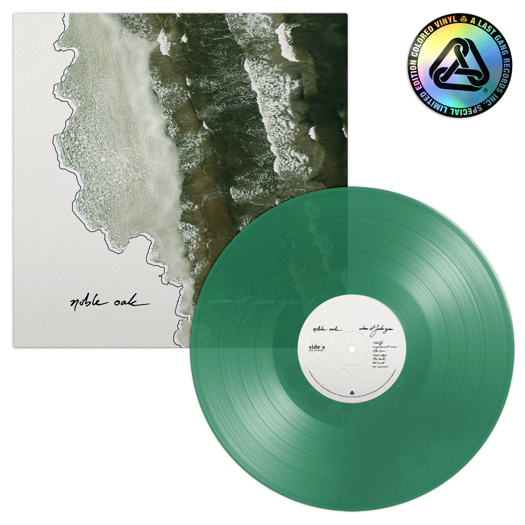 Noble Oak - When It Finds You